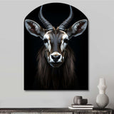 Animal Antelope Photo II - Asymmetric Metal Wall Art