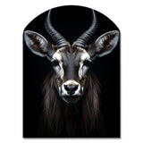 Animal Antelope Photo II - Asymmetric Metal Wall Art