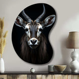 Animal Antelope Photo II - Asymmetric Metal Wall Art