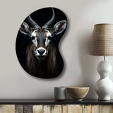 Animal Antelope Photo II - Asymmetric Metal Wall Art