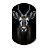 Animal Antelope Photo II - Asymmetric Metal Wall Art