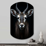 Animal Antelope Photo II - Asymmetric Metal Wall Art