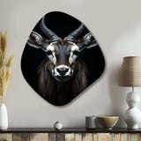 Animal Antelope Photo II - Asymmetric Metal Wall Art