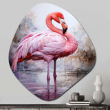 Animal Coral Flamingo Delicate II - Asymmetric Metal Wall Art