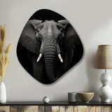 Black And White Elephant Photo II - Asymmetric Metal Wall Art