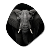 Black And White Elephant Photo II - Asymmetric Metal Wall Art