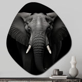 Black And White Elephant Photo II - Asymmetric Metal Wall Art