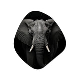 Black And White Elephant Photo II - Asymmetric Metal Wall Art