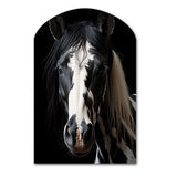 White Black Horse Serenity II - Asymmetric Metal Wall Art