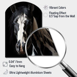 White Black Horse Serenity II - Asymmetric Metal Wall Art