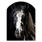 White Black Horse Serenity II - Asymmetric Metal Wall Art