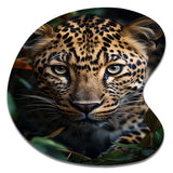 Cheetah Portrait Silent Stalk V - Asymmetric Metal Wall Art