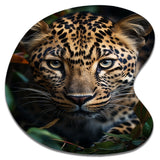 Cheetah Portrait Silent Stalk V - Asymmetric Metal Wall Art