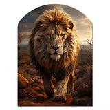 Animal Lion In Savan - Asymmetric Metal Wall Art