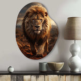 Animal Lion In Savan - Asymmetric Metal Wall Art