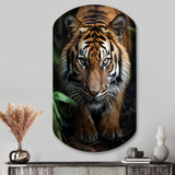 Beige Black Tiger Portrait II - Asymmetric Metal Wall Art