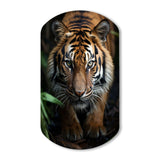 Beige Black Tiger Portrait II - Asymmetric Metal Wall Art