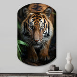 Beige Black Tiger Portrait II - Asymmetric Metal Wall Art