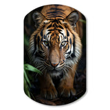 Beige Black Tiger Portrait II - Asymmetric Metal Wall Art