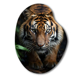 Beige Black Tiger Portrait II - Asymmetric Metal Wall Art