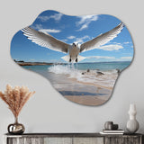 Blue Seagulls In Flight At Beach - Asymmetric Metal Wall Art