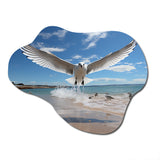 Blue Seagulls In Flight At Beach - Asymmetric Metal Wall Art