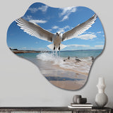 Blue Seagulls In Flight At Beach - Asymmetric Metal Wall Art