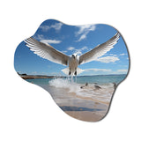 Blue Seagulls In Flight At Beach - Asymmetric Metal Wall Art