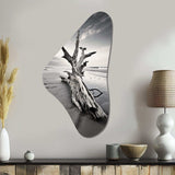 Beach Driftwood Photo III - Asymmetric Metal Wall Art