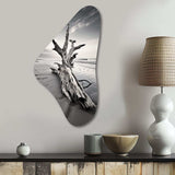 Beach Driftwood Photo III - Asymmetric Metal Wall Art