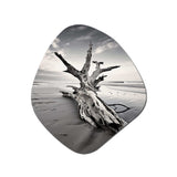 Beach Driftwood Photo III - Asymmetric Metal Wall Art