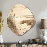 Beachside Whispers VI - Asymmetric Metal Wall Art