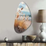 Beach Photo Coastal Harmony I - Asymmetric Metal Wall Art