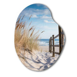 Tranquility Path To Dune Beach III - Asymmetric Metal Wall Art