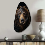 Bear Majestic Selfy I - Asymmetric Metal Wall Art