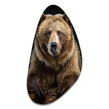 Bear Majestic Selfy III - Asymmetric Metal Wall Art