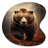 Bear Wild Majesty Bear I - Asymmetric Metal Wall Art