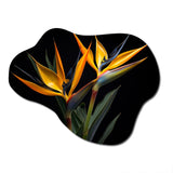 Birds Of Paradise Flowers I - Asymmetric Metal Wall Art