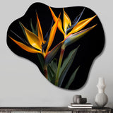 Birds Of Paradise Flowers I - Asymmetric Metal Wall Art