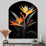 Birds Of Paradise Paradise II - Asymmetric Metal Wall Art