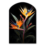 Birds Of Paradise Paradise II - Asymmetric Metal Wall Art