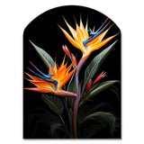 Birds Of Paradise Paradise II - Asymmetric Metal Wall Art