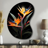 Birds Of Paradise Paradise II - Asymmetric Metal Wall Art