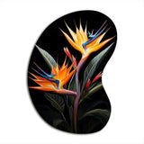 Birds Of Paradise Paradise II - Asymmetric Metal Wall Art