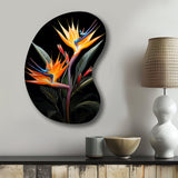 Birds Of Paradise Paradise II - Asymmetric Metal Wall Art