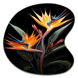 Birds Of Paradise Paradise II - Asymmetric Metal Wall Art