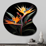 Birds Of Paradise Paradise II - Asymmetric Metal Wall Art