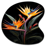 Birds Of Paradise Paradise II - Asymmetric Metal Wall Art