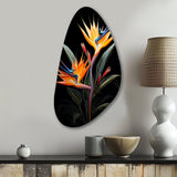 Birds Of Paradise Paradise II - Asymmetric Metal Wall Art