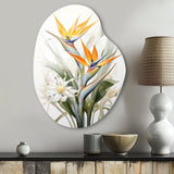 Birds Of Paradise Paradise III - Asymmetric Metal Wall Art